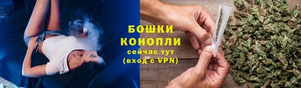 гидра Няндома