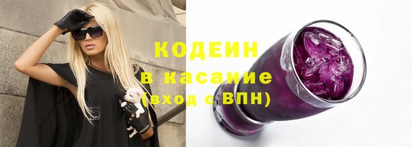 ГАЛЛЮЦИНОГЕННЫЕ ГРИБЫ Арсеньев