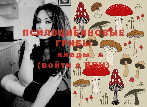 не бодяженный Аркадак