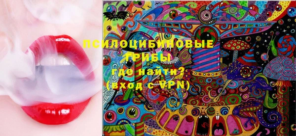 прущие грибы Армянск