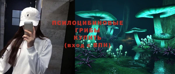 ALPHA PVP Горно-Алтайск