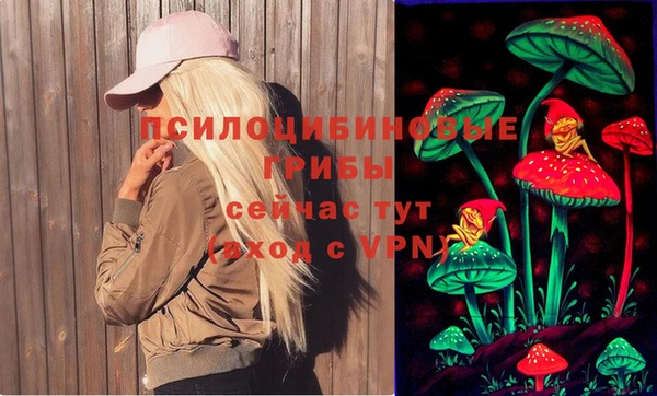 не бодяженный Аркадак