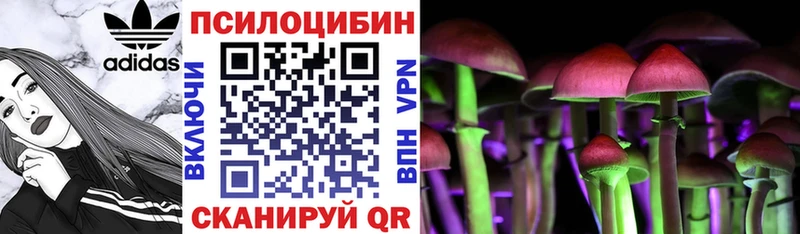 Галлюциногенные грибы мухоморы  Дыгулыбгей 